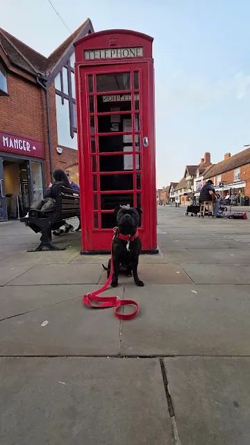Crufts 2026