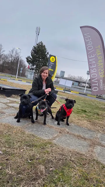 Výstavy Maďarsko Interra show, Pannon Terrier, FeHoVa Winter Dog Show 2026