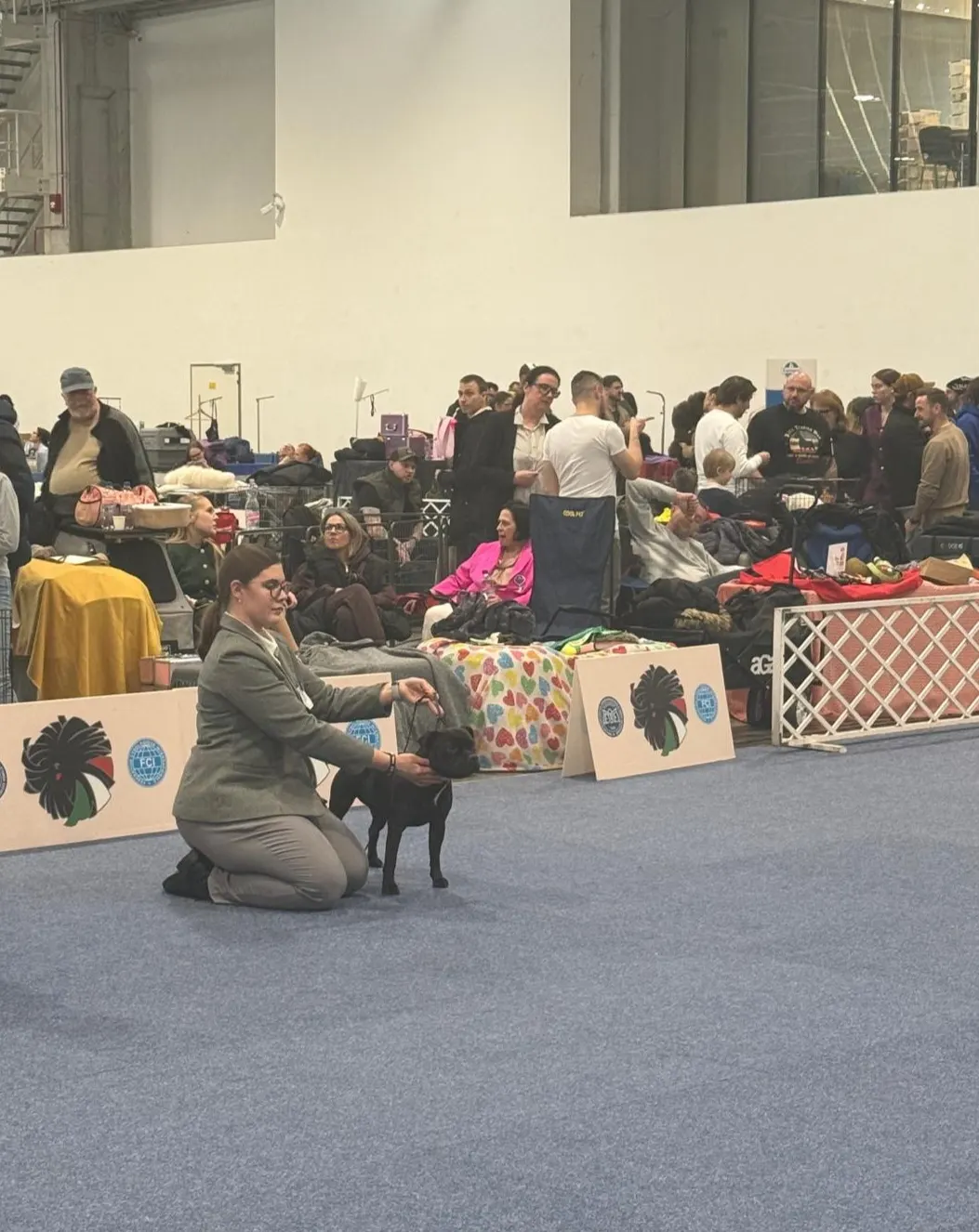 Výstavy Maďarsko Interra show, Pannon Terrier, FeHoVa Winter Dog Show 2026