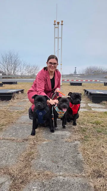 Výstavy Maďarsko Interra show, Pannon Terrier, FeHoVa Winter Dog Show 2026