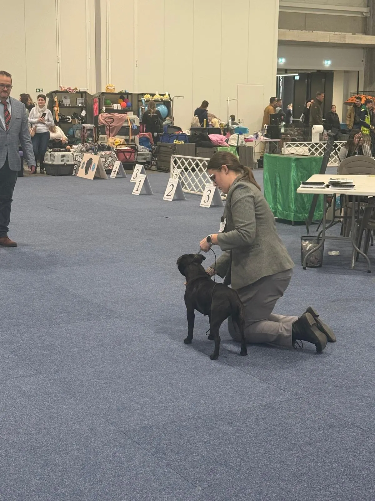 Výstavy Maďarsko Interra show, Pannon Terrier, FeHoVa Winter Dog Show 2026