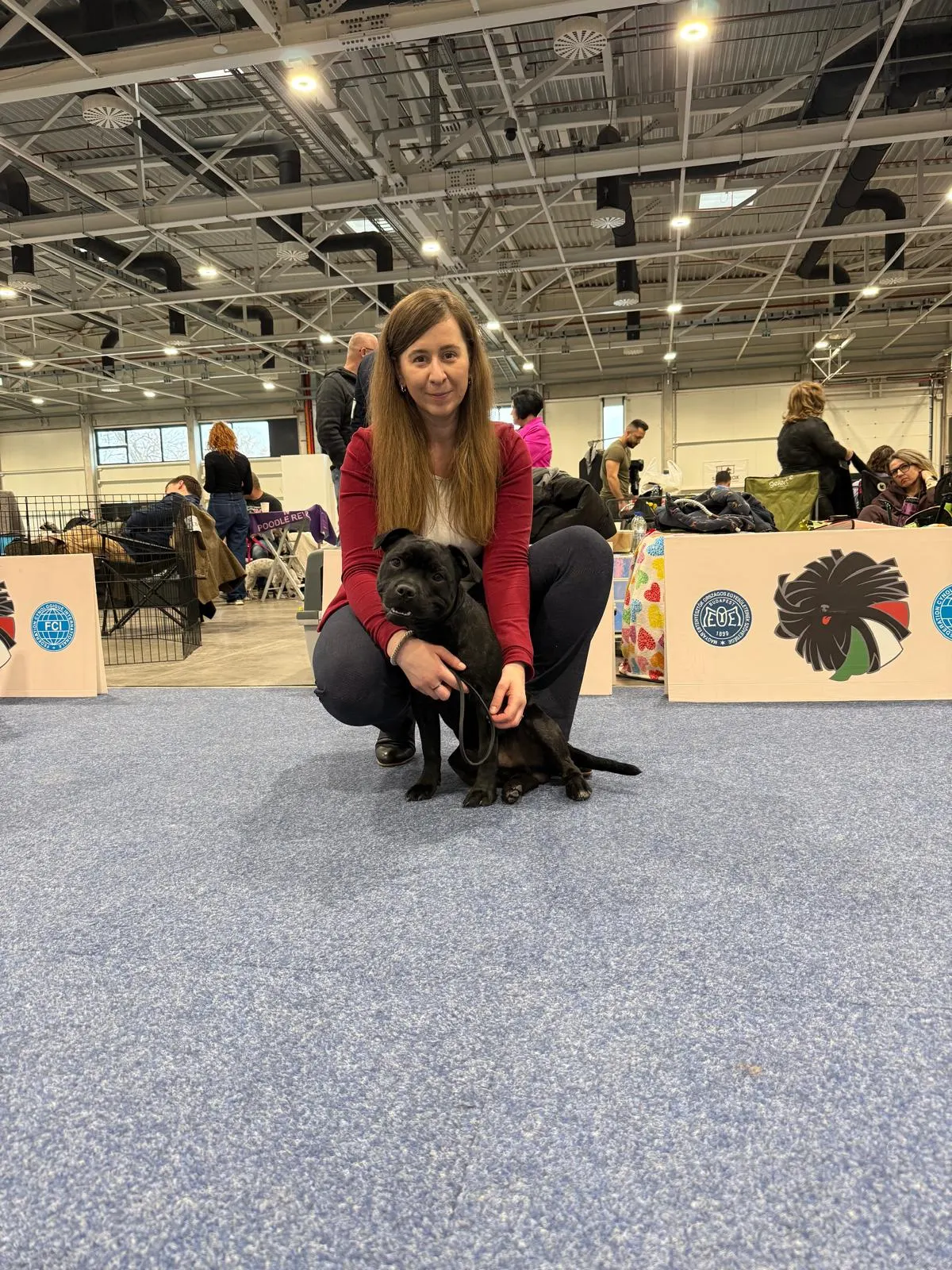 Výstavy Maďarsko Interra show, Pannon Terrier, FeHoVa Winter Dog Show 2026