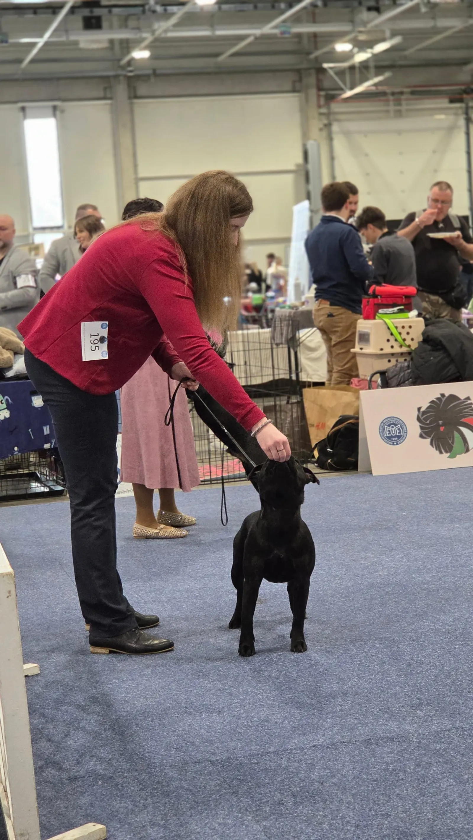 Výstavy Maďarsko Interra show, Pannon Terrier, FeHoVa Winter Dog Show 2026