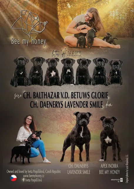 Crufts 2026, prezentace do The Stafford Book 2025