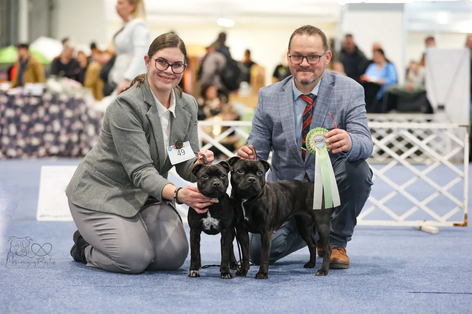 Výstavy Maďarsko Interra show, Pannon Terrier, FeHoVa Winter Dog Show 2026